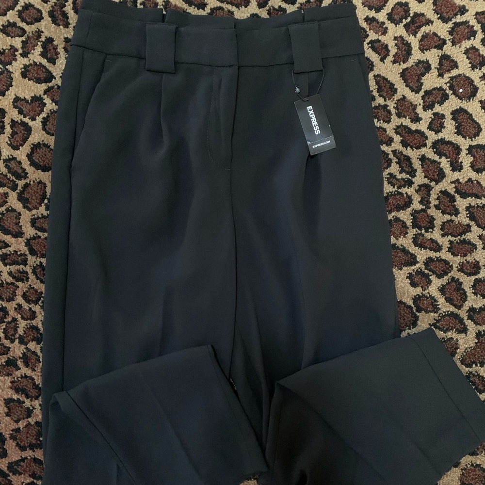 Express Work Pants